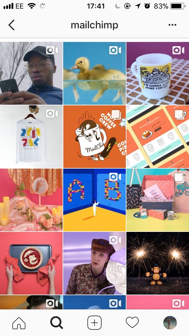 Mail Chimp Instagram Feed