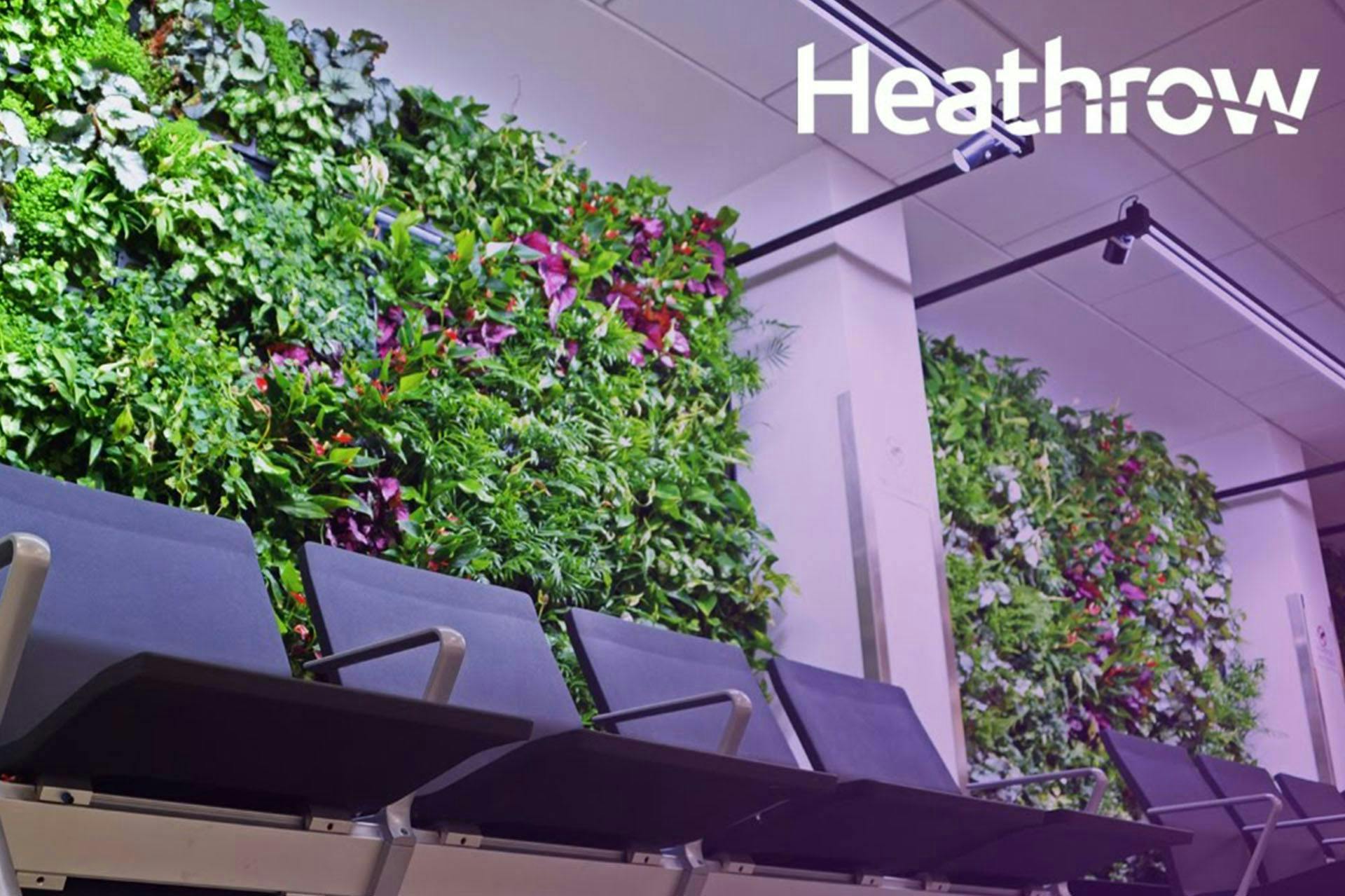 Man sieht die Eco Wall am Flughafen Heathrow als Beispiel für Greenwashing in unserem Beitrag zu Corporate Social Responsibility (CSR)
