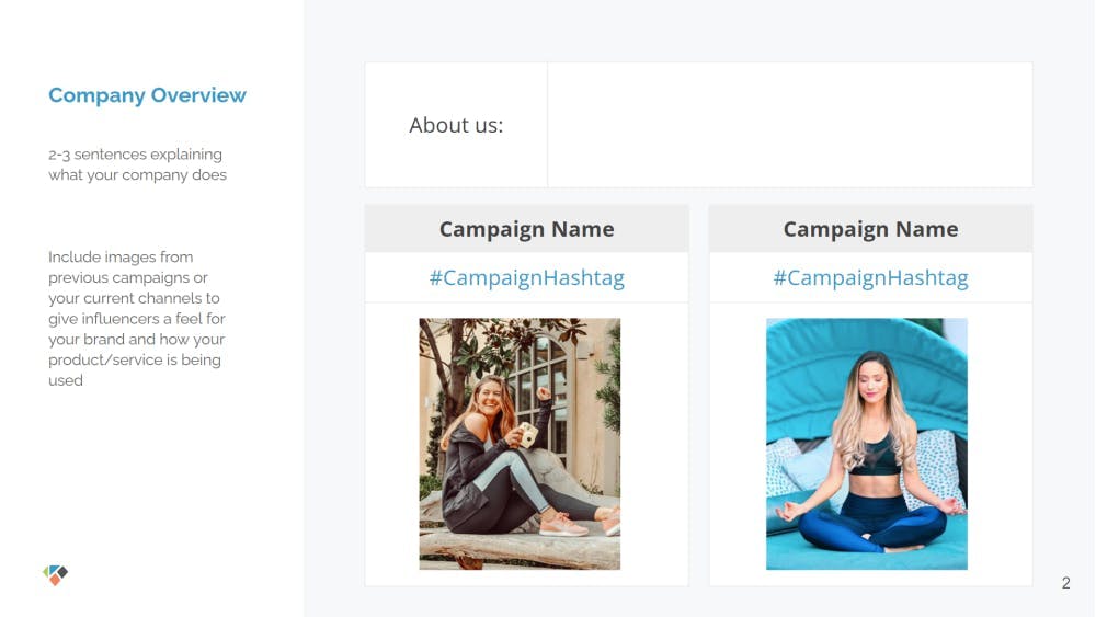 company overview showing two influencer marketing campaigns