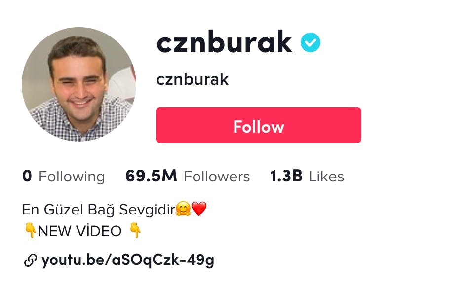 Screenshot of TikTok profile with the 8th most followers, cznburak