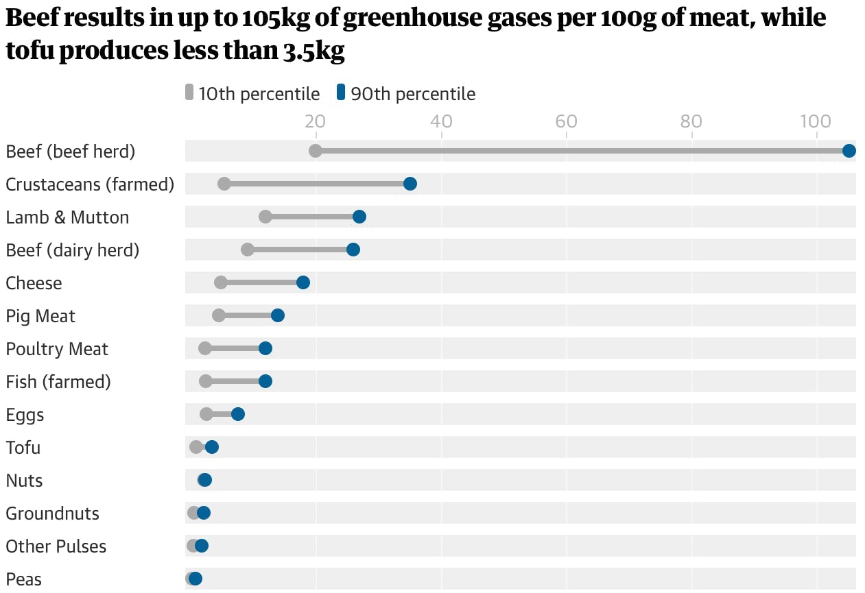 Beef results in up to 105kg of greenhouse gases per 100g of meat, while tofu produces less than 3-5kg