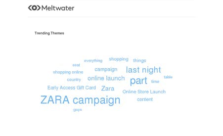 Keyword cloud from Zara micro-influencer campaign