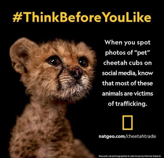 #ThinkBeforeYouLike Natgeo Social-Media-Kampagne