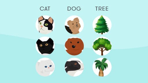 Different illustrations of cats, dogs, and trees to show categorizing in image recognition