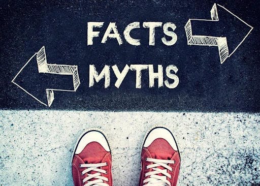 CX Fakten und Mythen