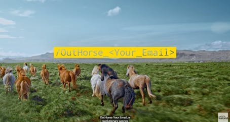 Hevosia juoksemassa pellolla Islannissa. 