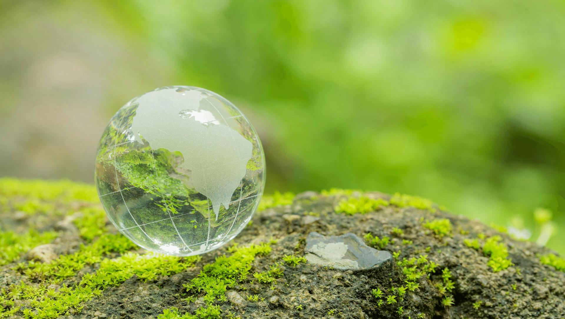 Photo d'un globe en verre posé sur un rocher avec de la mousse
