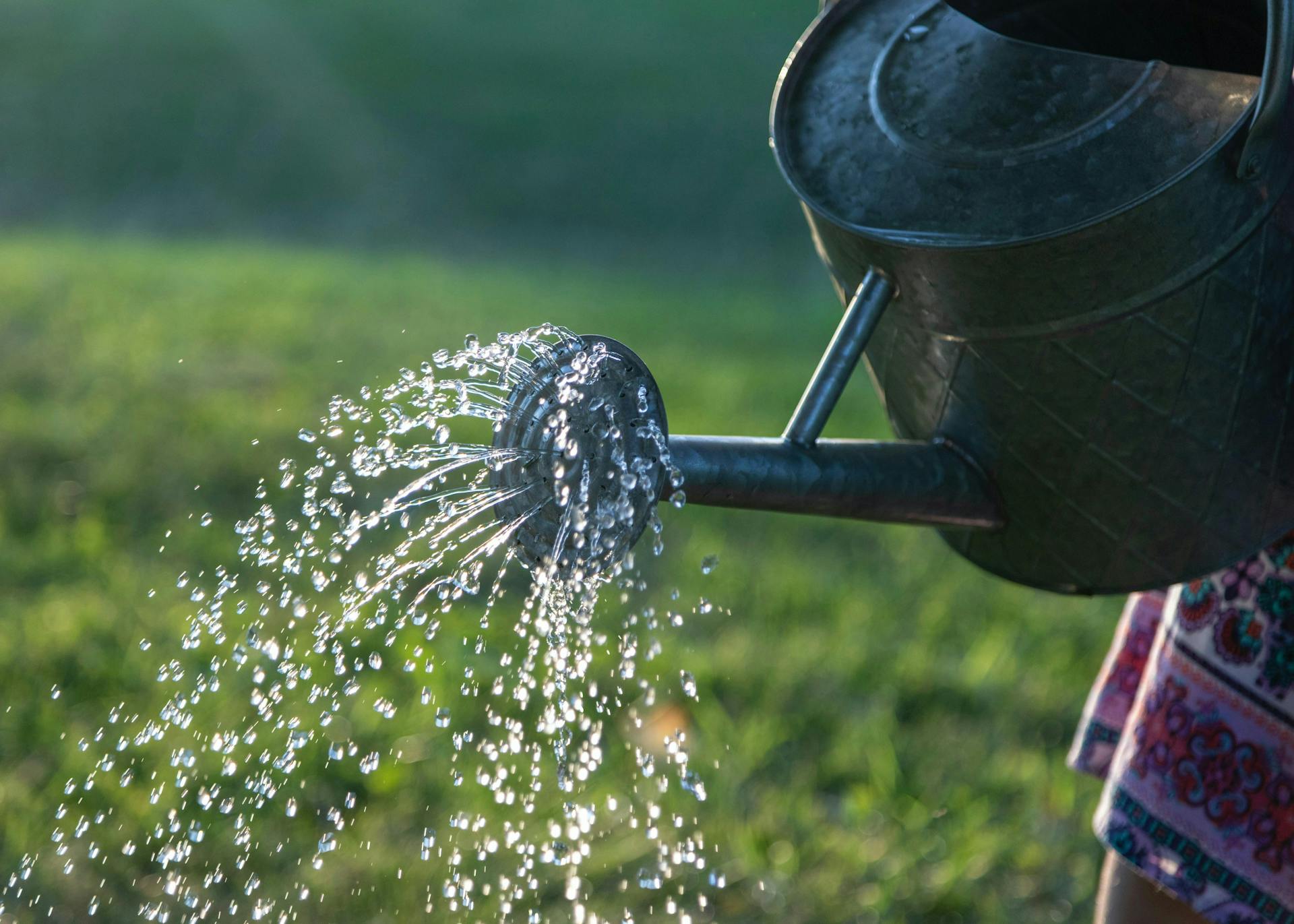 Watering can pouring out large water droplets onto green grassy field. Refreshing content is a continuing trend in content marketing.