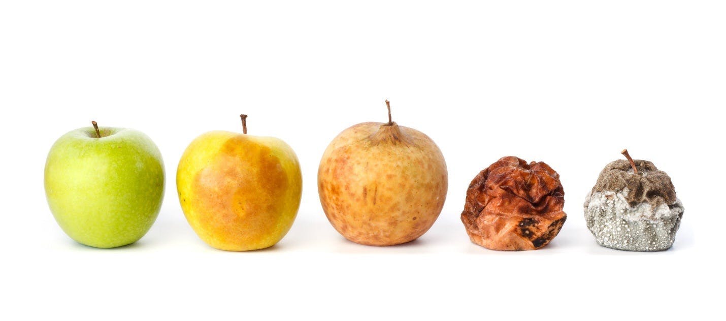 5 omenaa rivissä. Ensimmäisenä tuorein omena ja viimeisenä pilaantunut omena