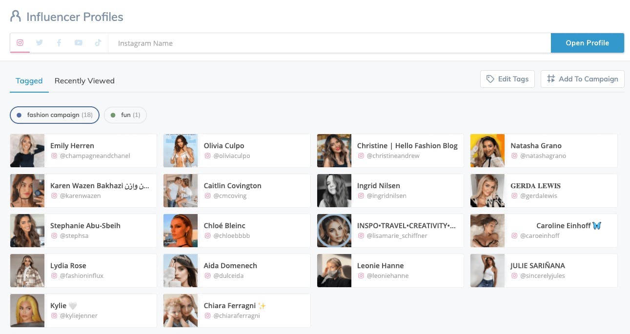 Screenshot of tagged influencer profiles within Klear MeltwaterI Influencer Marketing