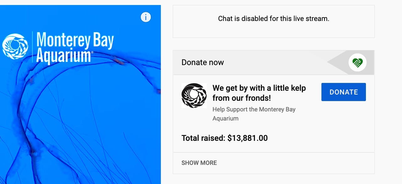 Donate button on a charity livestream on YouTube