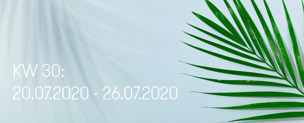 Social Media Sidekick Banner Highlights KW 30 grünes Palmenblatt