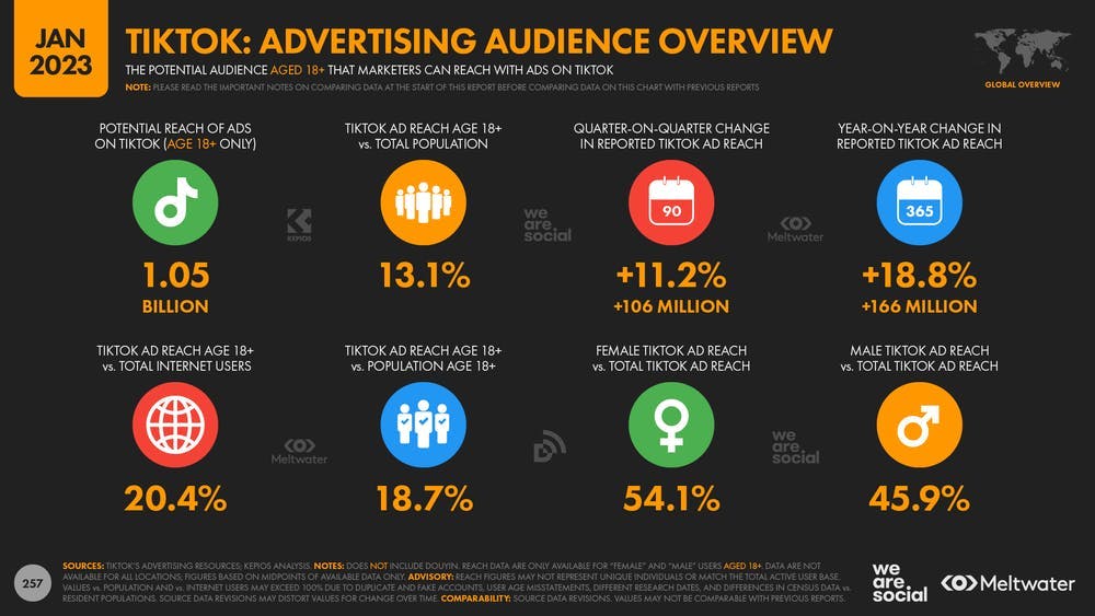 TikTok: advertising audience overview