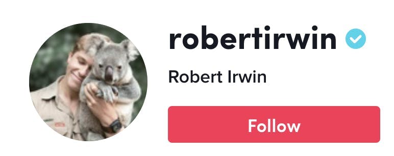 @robertirwin Australian TikToker profile