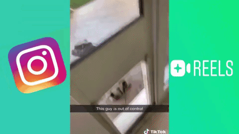 A gif displaying an instagram reel with a dog