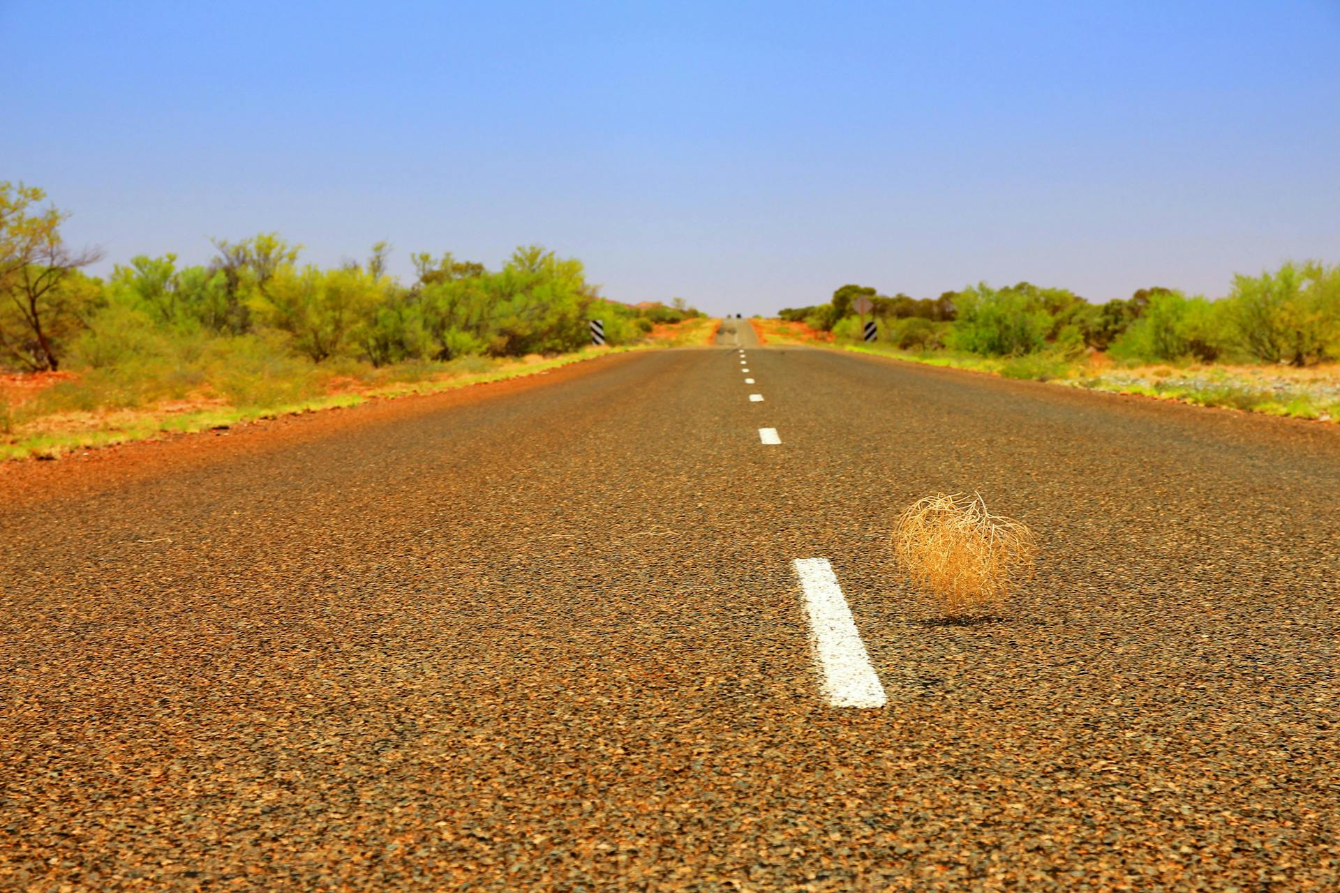 A tumble weed rolling across highway