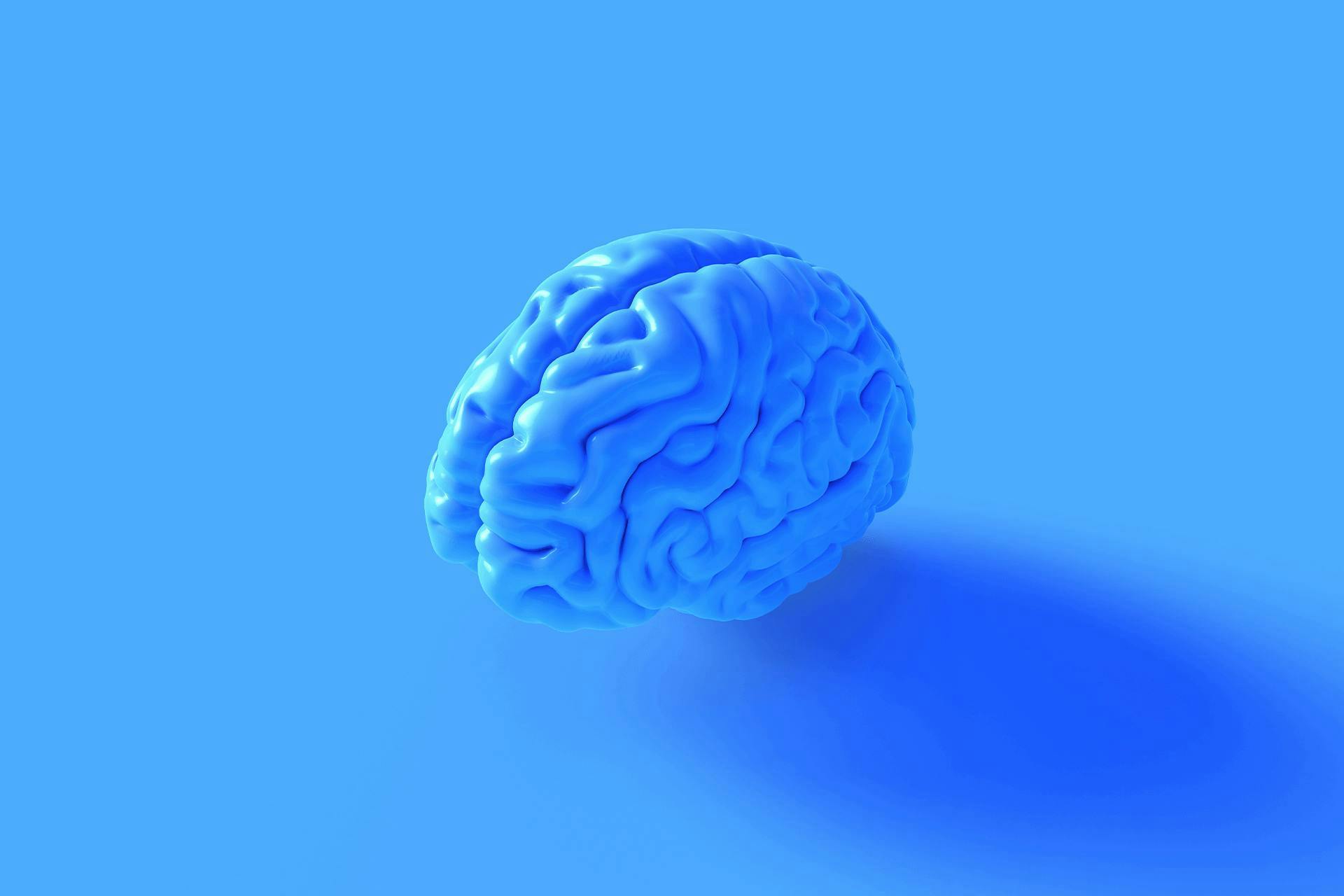 Un cerveau modélisé sur fond bleu