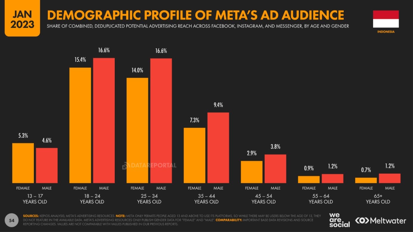 Demographic profile of Meta's ad audience based on Global Digital Report 2023 for Indonesia