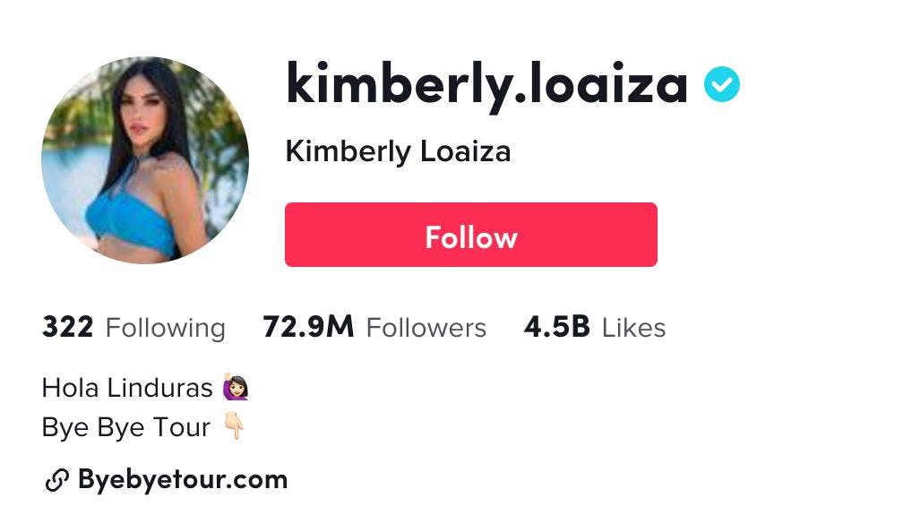 Kimberly Loaiza TikTok profile
