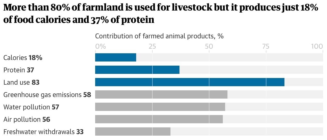 More than 80% of farmland is used for livestock but it produces just 18% of food calories and 37% of protein
