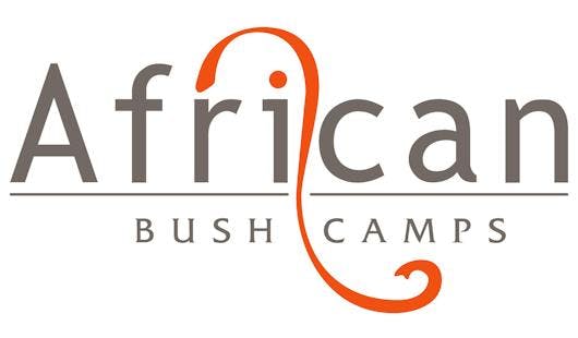 Meltwater Customer Story: African Bush Camps